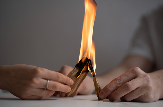 Palo Santo ile Evde Enerji Arındırma Ritüelleri